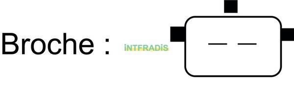 Injector adblue INTFRADIS ref. 10706